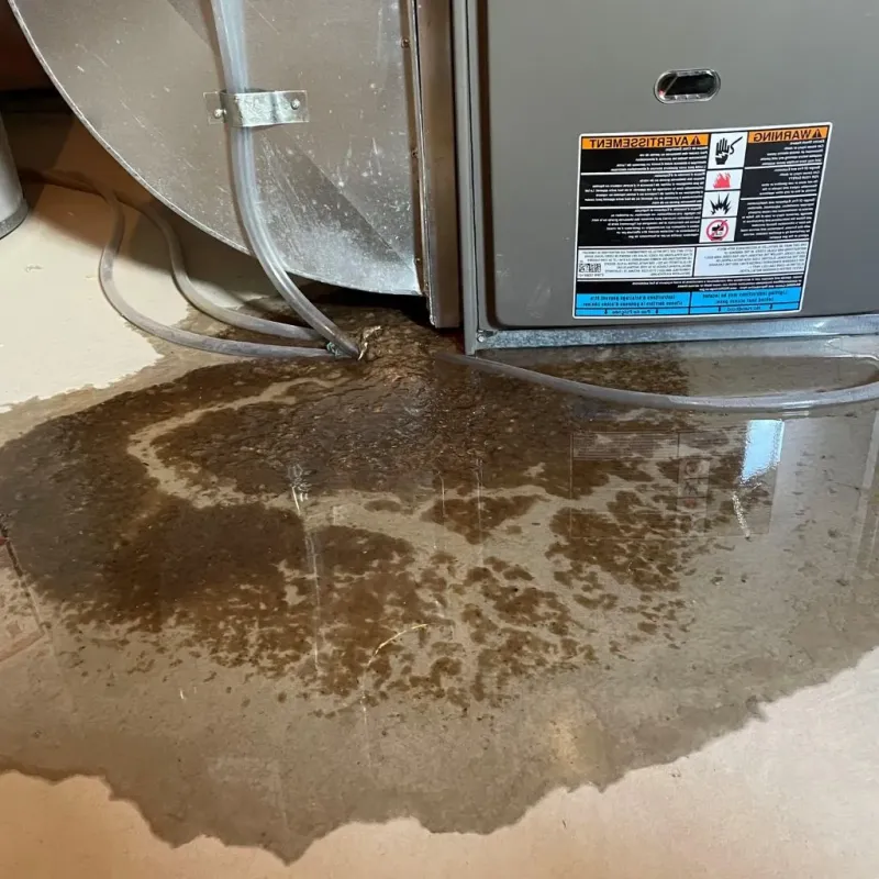 Pipe Burst and Leak Restoration in Emsworth, PA